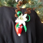 Sue’s reindeer